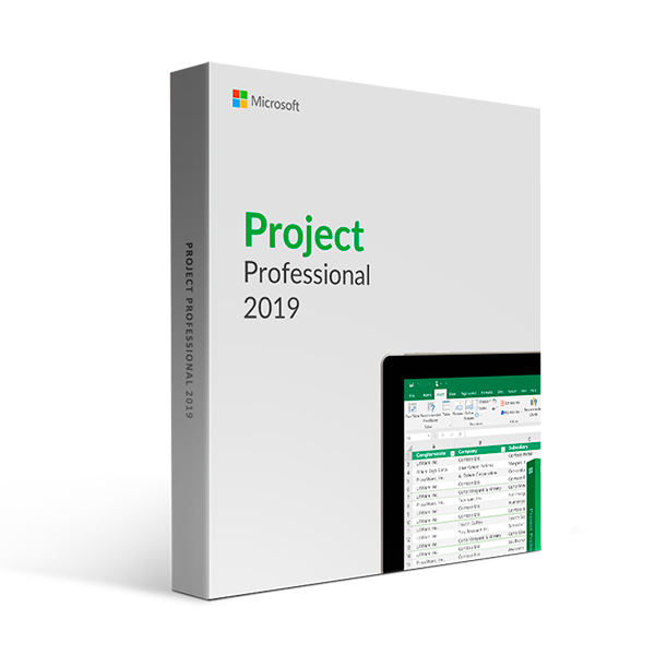 Microsoft Project Professional 2019